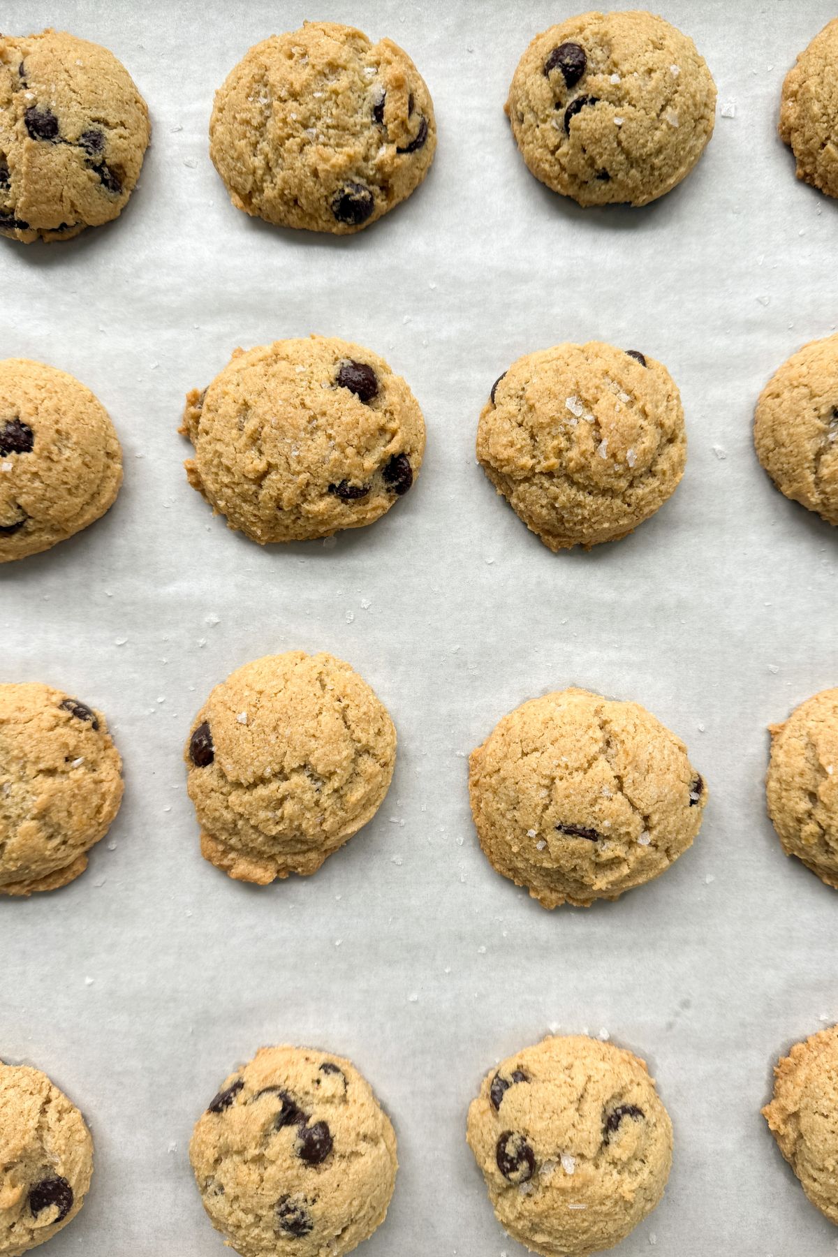Almond flour chocolate chip cookies on a baking sheet.