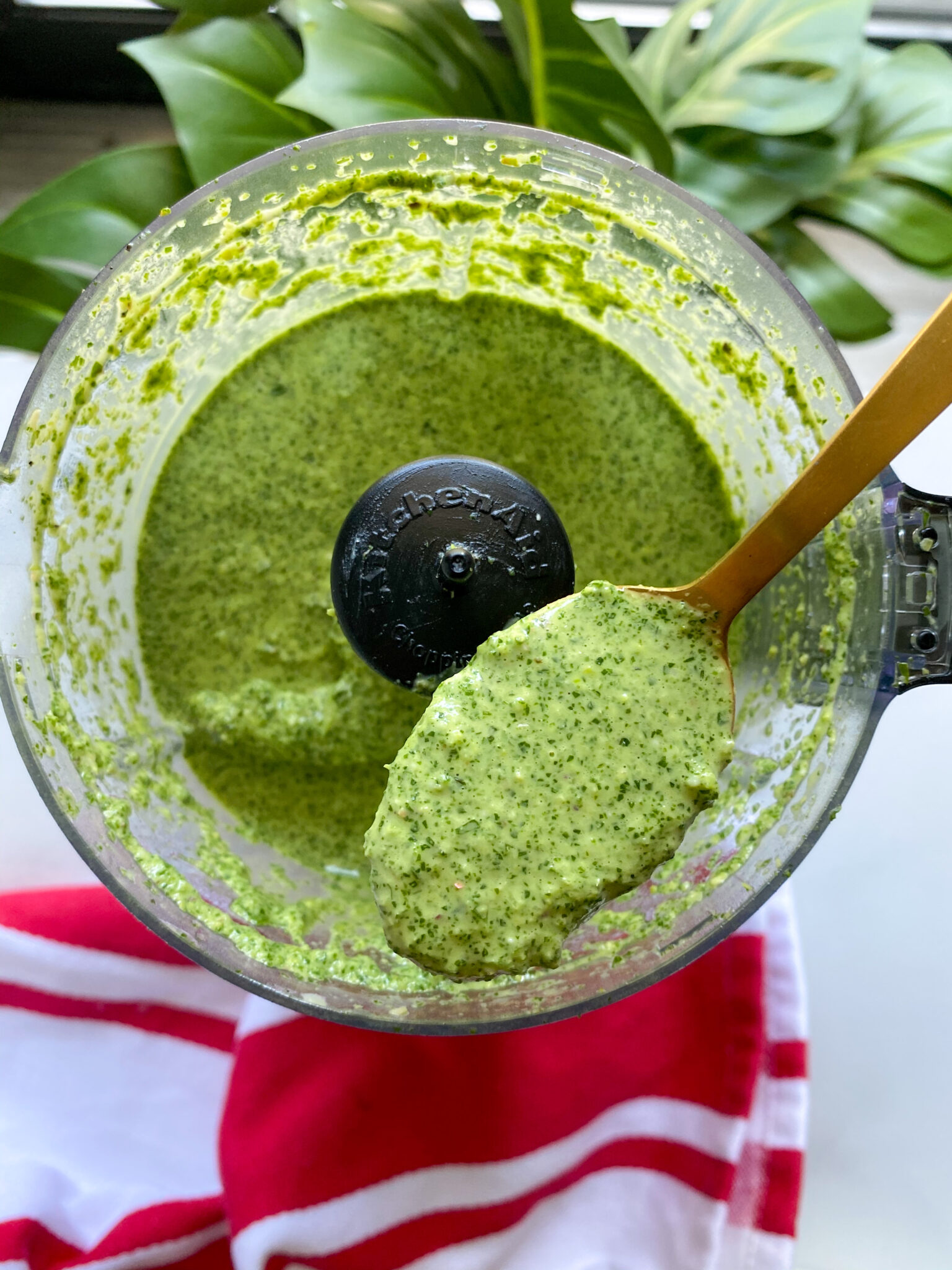 Coconut Milk Pesto Pasta