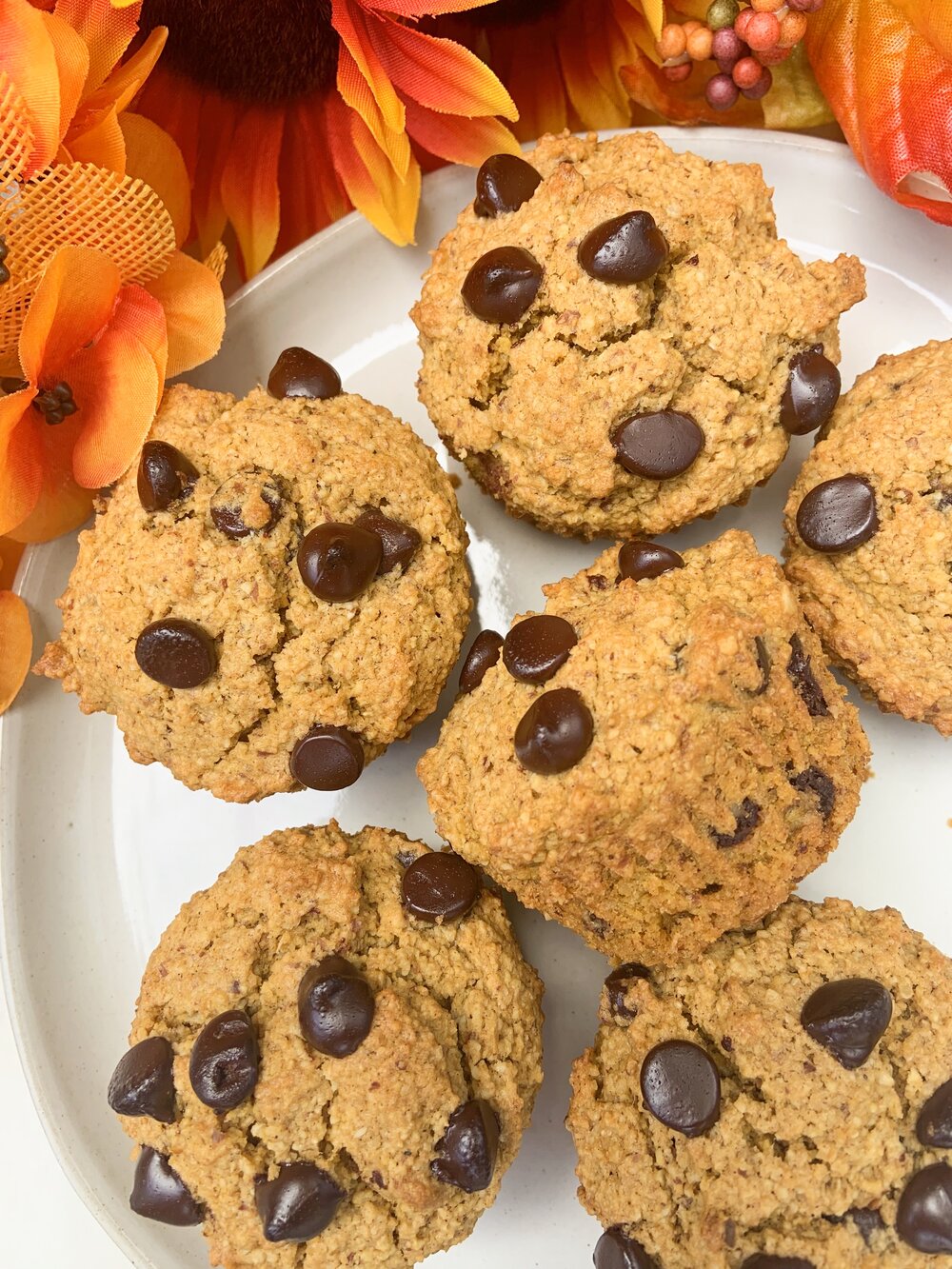 Pumpkin Chocolate Chip Muffins