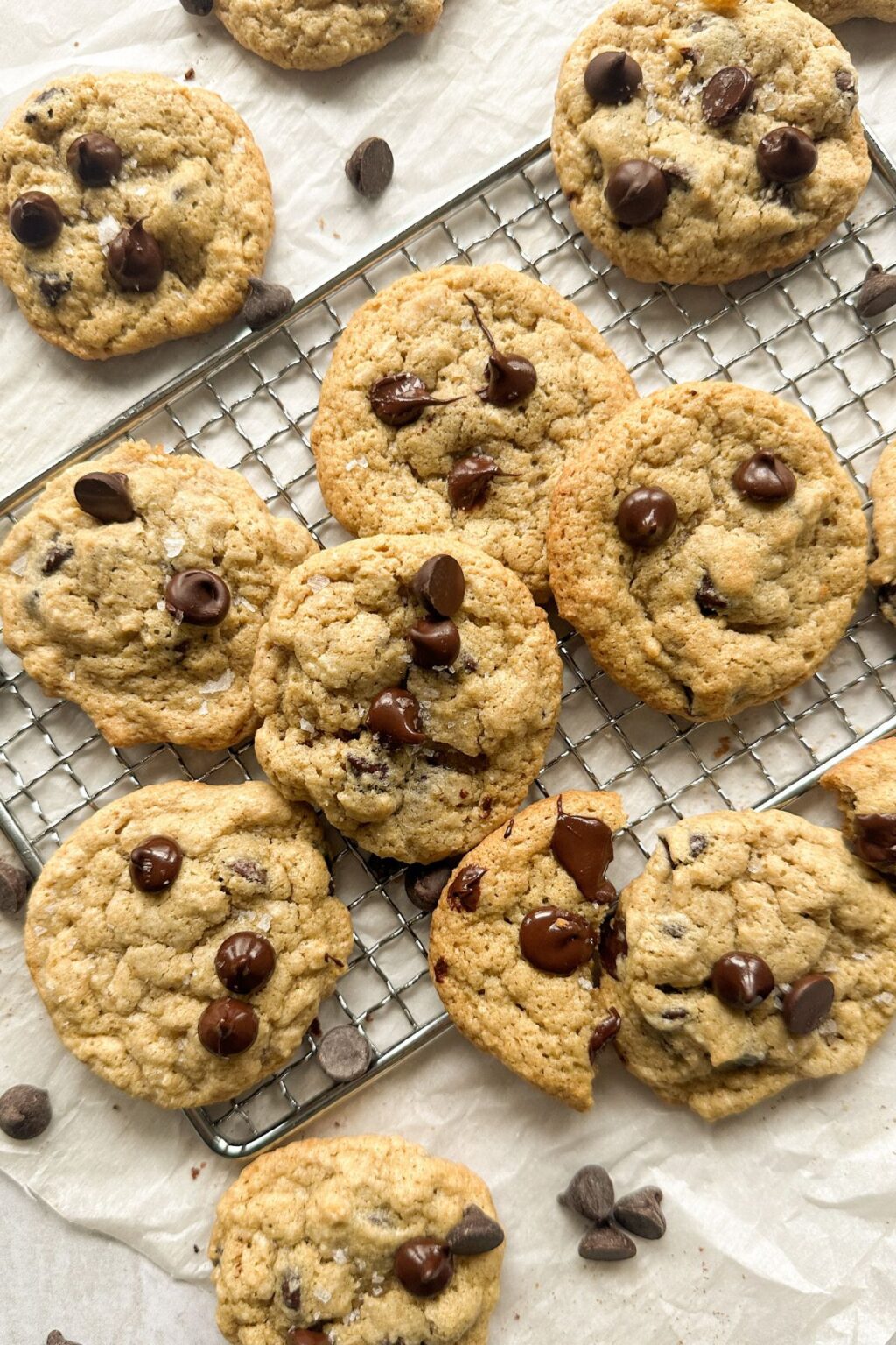 Oat Flour Chocolate Chip Cookies
