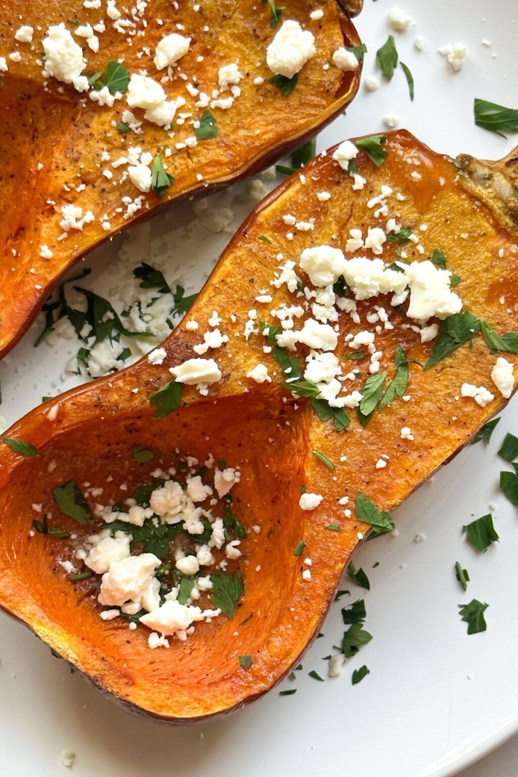 roasted honeynut squash recipe